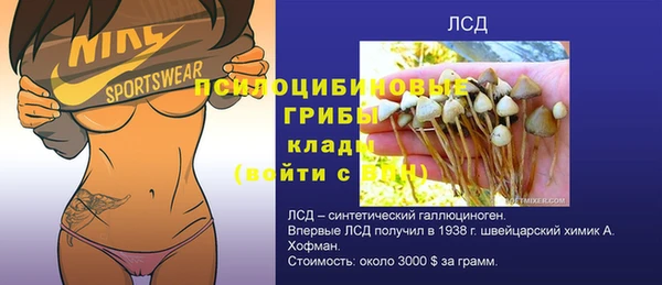герыч Алексин