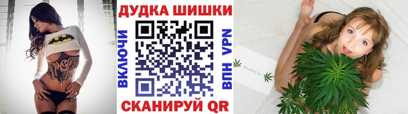 купить наркотик  Светлоград  Конопля гибрид 